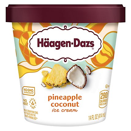 Haagen-Dazs Ice Cream Pineapple Coconut - 14 Fl. Oz. - Image 2