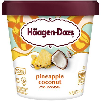 Haagen-Dazs Ice Cream Pineapple Coconut - 14 Fl. Oz. - Image 1
