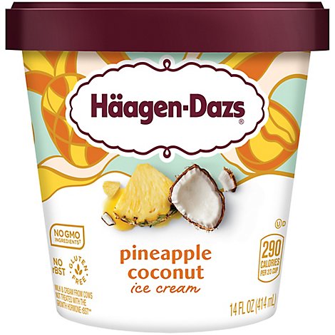 Haagen-Dazs Ice Cream Pineapple Coconut - 14 Fl. Oz.
