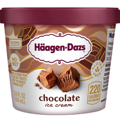 Haagen-Dazs Ice Cream Cup Chocolate - 3.6 Fl. Oz. - Image 1