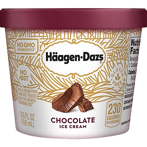 Haagen-Dazs Ice Cream Cup Chocolate - 3.6 Fl. Oz.