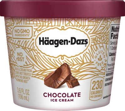 Haagen-Dazs Ice Cream Cup Chocolate - 3.6 Fl. Oz.