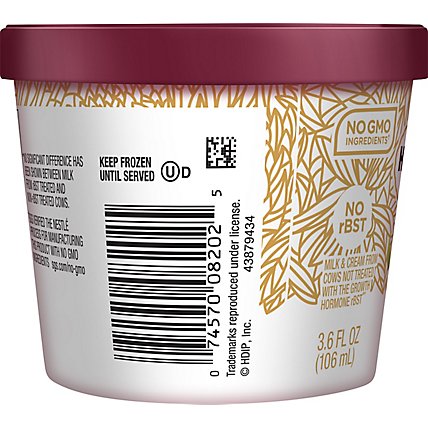 Haagen-Dazs Ice Cream Cup Vanilla - 3.6 Fl. Oz. - Image 3