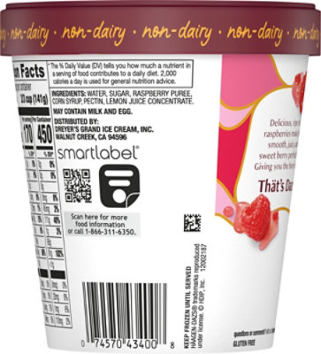 Haagen-Dazs Sorbet Raspberry - 14 Fl. Oz. - Image 6