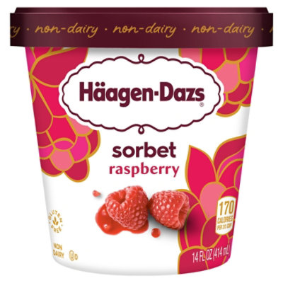 Raspberry Sorbet Ice Cream Scoop - Häagen-Dazs IN