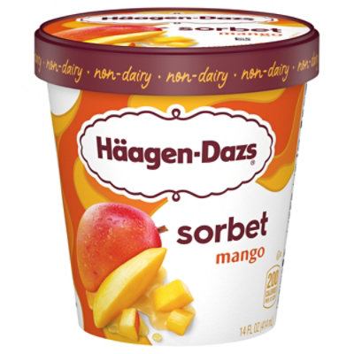 Haagen-Dazs Sorbet Mango - 14 Fl. Oz. - Image 3