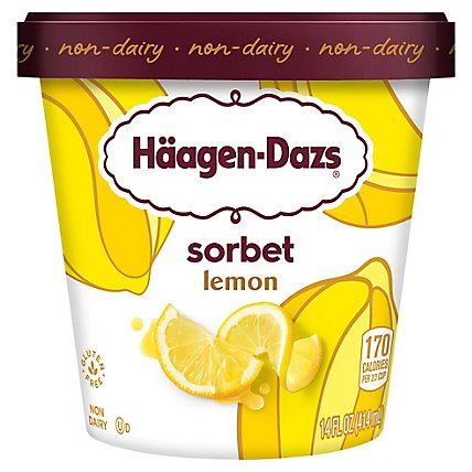 Haagen-Dazs Sorbet Zesty Lemon Fat Free - 14 Fl. Oz. - Image 3