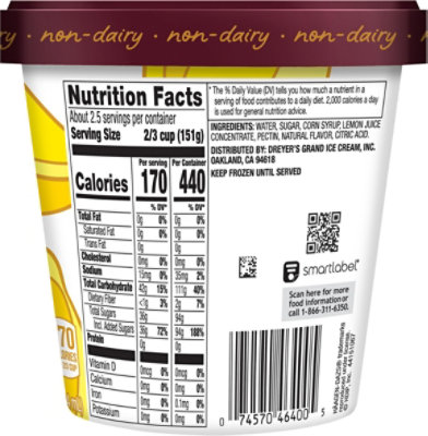 Haagen-Dazs Sorbet Zesty Lemon Fat Free - 14 Fl. Oz. - Image 6