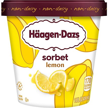 Haagen-Dazs Sorbet Zesty Lemon Fat Free - 14 Fl. Oz. - Image 2