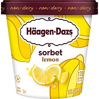 Haagen-Dazs Sorbet Zesty Lemon Fat Free - 14 Fl. Oz. - Image 2