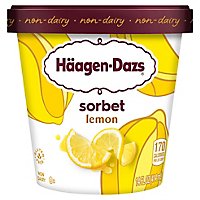 Haagen-Dazs Sorbet Zesty Lemon Fat Free - 14 Fl. Oz. - Image 1