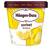 Haagen-Dazs Sorbet Zesty Lemon Fat Free - 14 Fl. Oz.