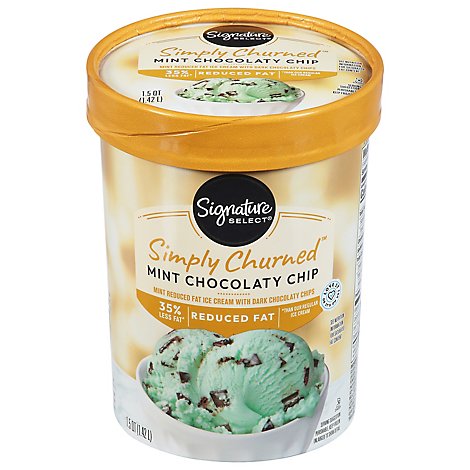 Mint chocolate chip ice cream