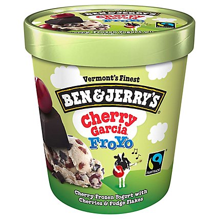 Ben & Jerrys Fro Yo Frozen Yogurt Low Fat Cherry Garcia 1 Pint - 16 Oz - Image 1