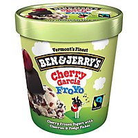 Ben & Jerrys Fro Yo Frozen Yogurt Low Fat Cherry Garcia 1 Pint - 16 Oz - Image 1