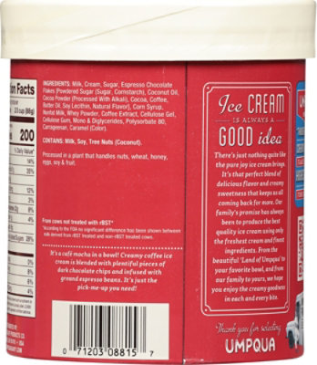 Umpqua Ice Cream Espresso Madness - 1.5 Quart - Image 6