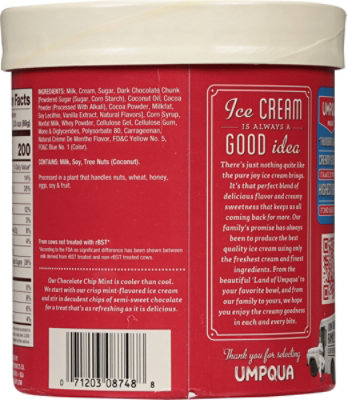 Umpqua Ice Cream Chocolate Chip Mint - 1.75 Quart - Image 6