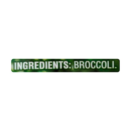 Signature SELECT Broccoli Florets Petite Steam In Bag - 12 Oz