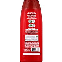 Garnier Fructis Shampoo Fortifying Color Shield - 25.4 Fl. Oz. - Image 3