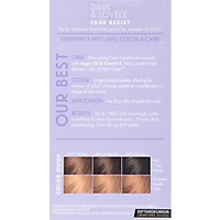 Dark and Lovely Permanent Haircolor Honey Blonde 378 Fade Resist - Each - Image 2