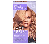 Dark and Lovely Permanent Haircolor Honey Blonde 378 Fade Resist - Each