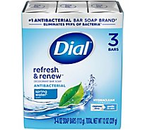 Dial Deodorant Soap Bars Spring Water - 3-4 Oz