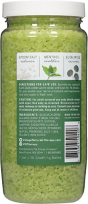 Village Naturals Therapy Mineral Bath Soak Concentrated Aches + Pains Muscle Relief - 20 Oz - Image 4