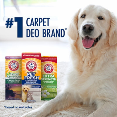 ARM & HAMMER Pet Fresh Carpet Odor Eliminator - 42.6 Oz - Image 2