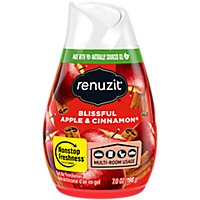 Renuzit Adjustable Gel Air Freshener Apple & Cinnamon Cone - Each - Image 1