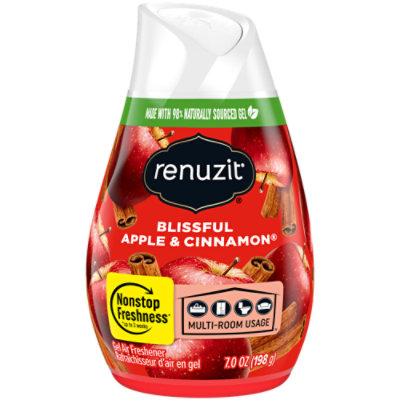 Renuzit Air Freshener Gel Blissful Apple & Cinnamon - 7 Oz