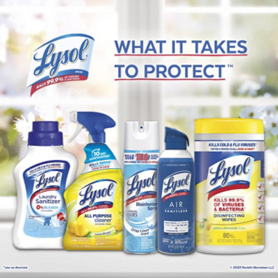 Lysol Kitchen Pro AntibaCounterial Cleaner - Image 7