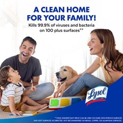 Lysol Kitchen Pro AntibaCounterial Cleaner - Image 6