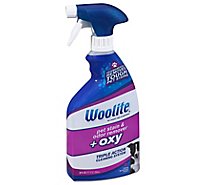 Woolite Pet Stain & Odor Remover + Oxy Fresh Blossoms - 22 Fl. Oz.