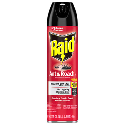 Raid Outdoor Fresh Scent Ant And Roach Killer Insecticide Aerosol Spray - 17.5 Oz - Image 1