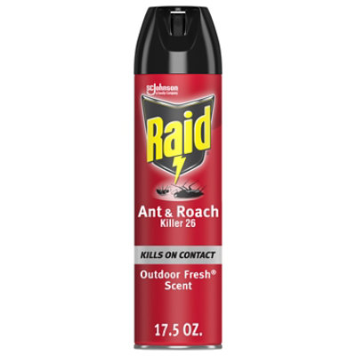 Raid Outdoor Fresh Scent Ant And Roach Killer Insecticide Aerosol Spray - 17.5 Oz - Image 2