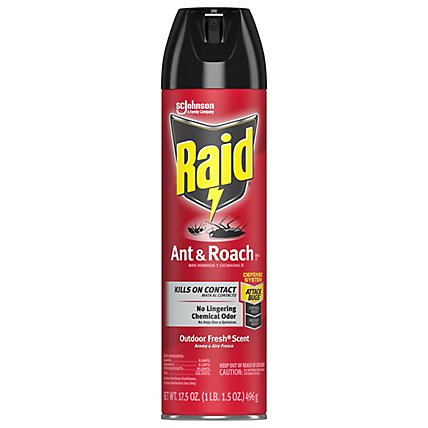 Raid Ant And Roach Killer Outdoor Fresh Scent Insecticide Aerosol Spray - 17.5 Oz - Image 1