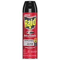 Raid Ant And Roach Killer Outdoor Fresh Scent Insecticide Aerosol Spray - 17.5 Oz - Image 1