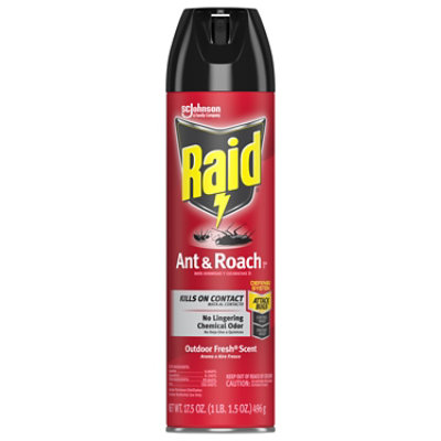 Raid Ant and Roach Killer 26 Outdoor Fresh Scent 17.5 oz(1 ct)