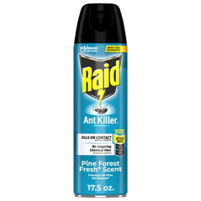 Raid Pine Forest Fresh Scent Ant Killer Insecticide Aerosol Spray - 17.5 Oz - Image 2