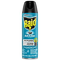 Raid Pine Forest Fresh Scent Ant Killer Insecticide Aerosol Spray - 17.5 Oz - Image 1