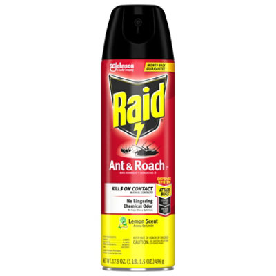 Raid Lemon Scent Ant And Roach Killer Insecticide Aerosol Spray - 17.5 Oz - Image 1