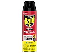 Raid Lavender Scent Ant And Roach Killer Insecticide Aerosol Spray - 17.5 Oz