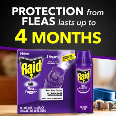 Raid Flea Killer Plus Fogger 3 Count 15 Oz safeway