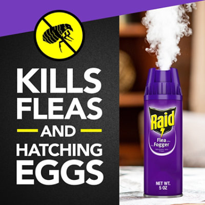 Best flea bombs that kill eggs hotsell