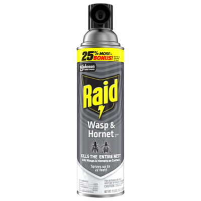 Raid Wasp & Hornet Killer Insecticide Aerosol Spray - 17.5 Oz - Image 1