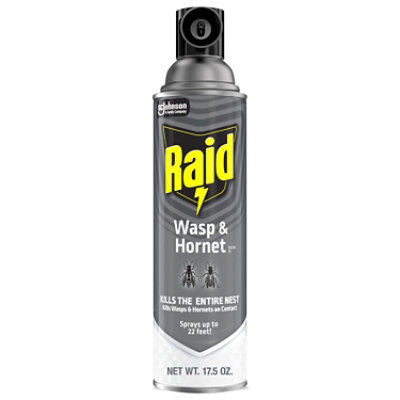 Raid Wasp & Hornet Killer Insecticide Aerosol Spray - 17.5 Oz - Image 2