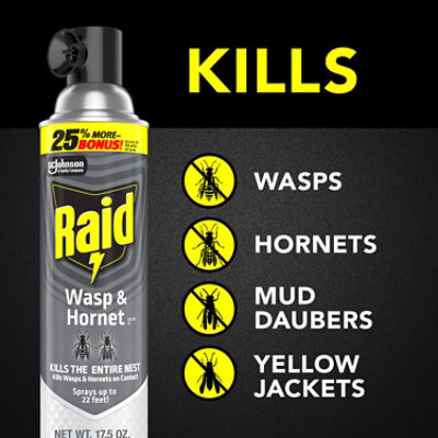 Raid Wasp & Hornet Killer Insecticide Aerosol Spray - 17.5 Oz - Image 4