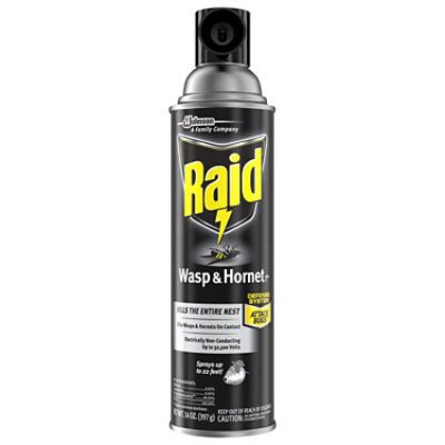 Raid Wasp And Hornet Killer Insecticide Aerosol Spray - 14 Oz - Image 1