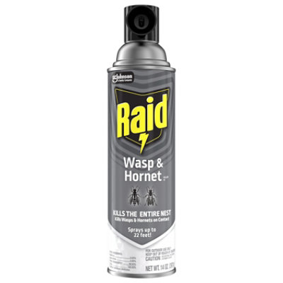 Raid Wasp And Hornet Killer Insecticide Aerosol Spray - 14 Oz - Image 2