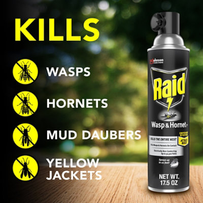 Raid Wasp And Hornet Killer Insecticide Aerosol Spray - 14 Oz - Image 3